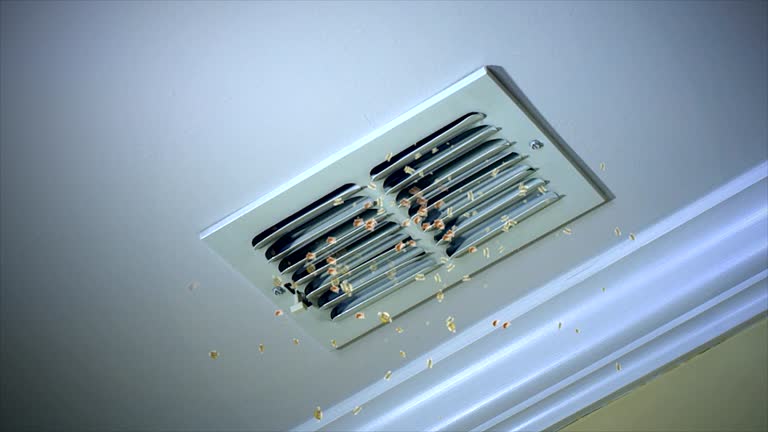 Best Air Duct Cleaning Near Me  in Apple Mountain Lake, VA
