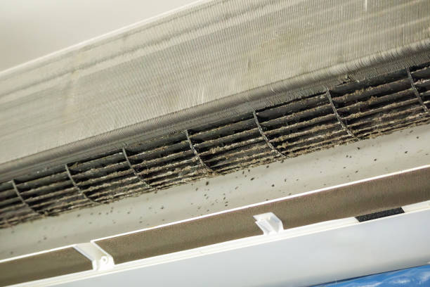 Best Air Duct Cleaning Company Near Me  in Apple Mountain Lake, VA